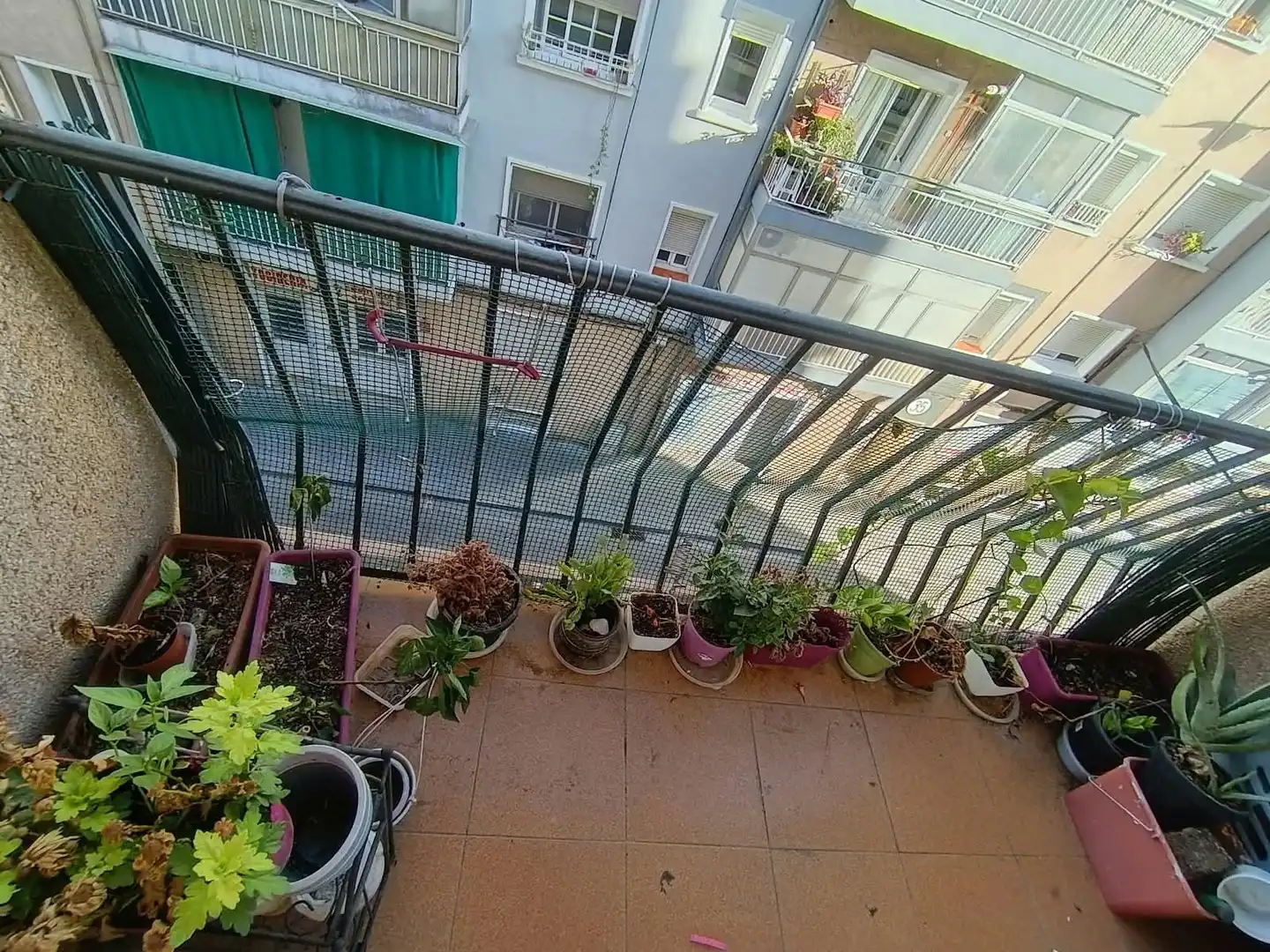Pis amb terrassa en venda a Plana Lledó