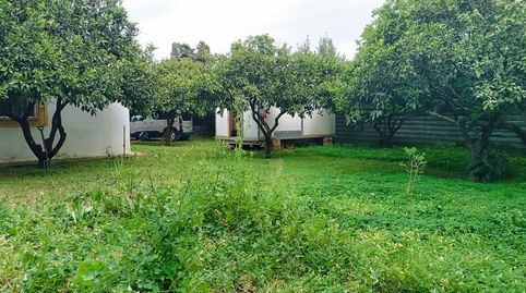 Foto 4 de Finca rústica en venta en El Juncal - Vallealto, El Puerto de Santa María