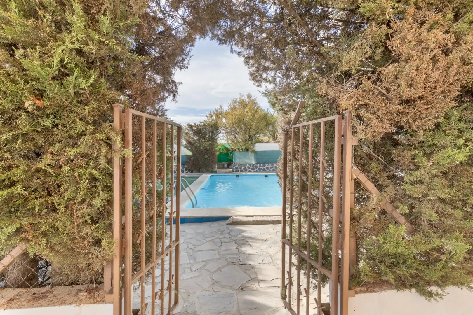 Piscina de Finca rústica en venta en Cogollos de la Vega con Jardín privado y Piscina
