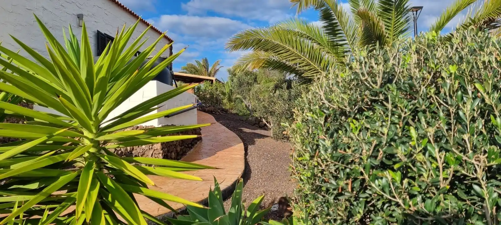Maison à vendre à EL ROSAL, imagen 41