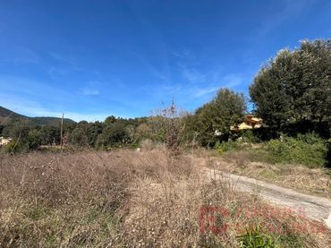 Terreno residenziale in vendita a Calle Velers
