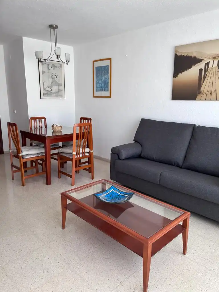 Appartamento con ascensore in affitto a Paseo Maritimo Antonio Machado, imagen 4
