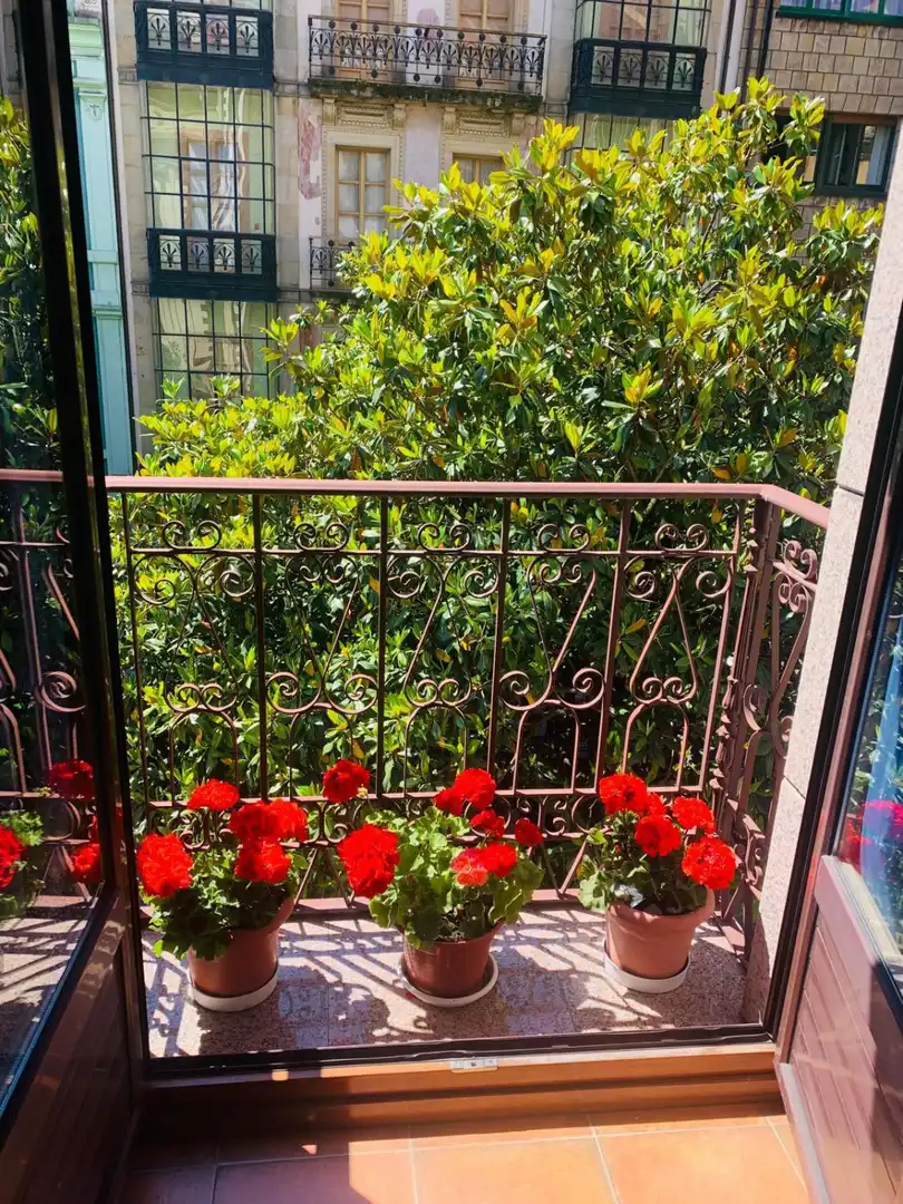 Apartment with lift for sale in Centro, imagen 29