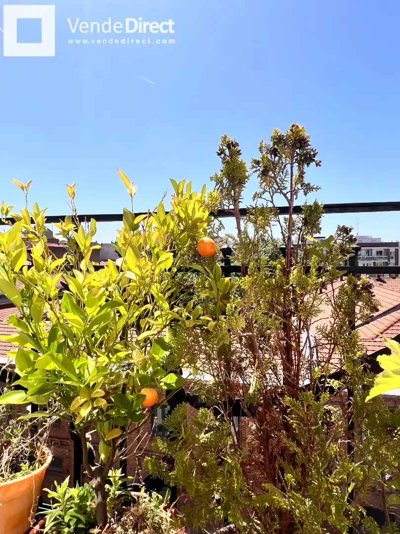 Terraza de Piso en venta en Madrid con Trastero, Amueblado y Balcón