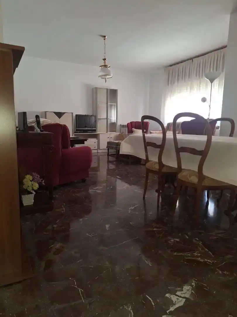 Sala de estar de Piso de alquiler en Zaidín