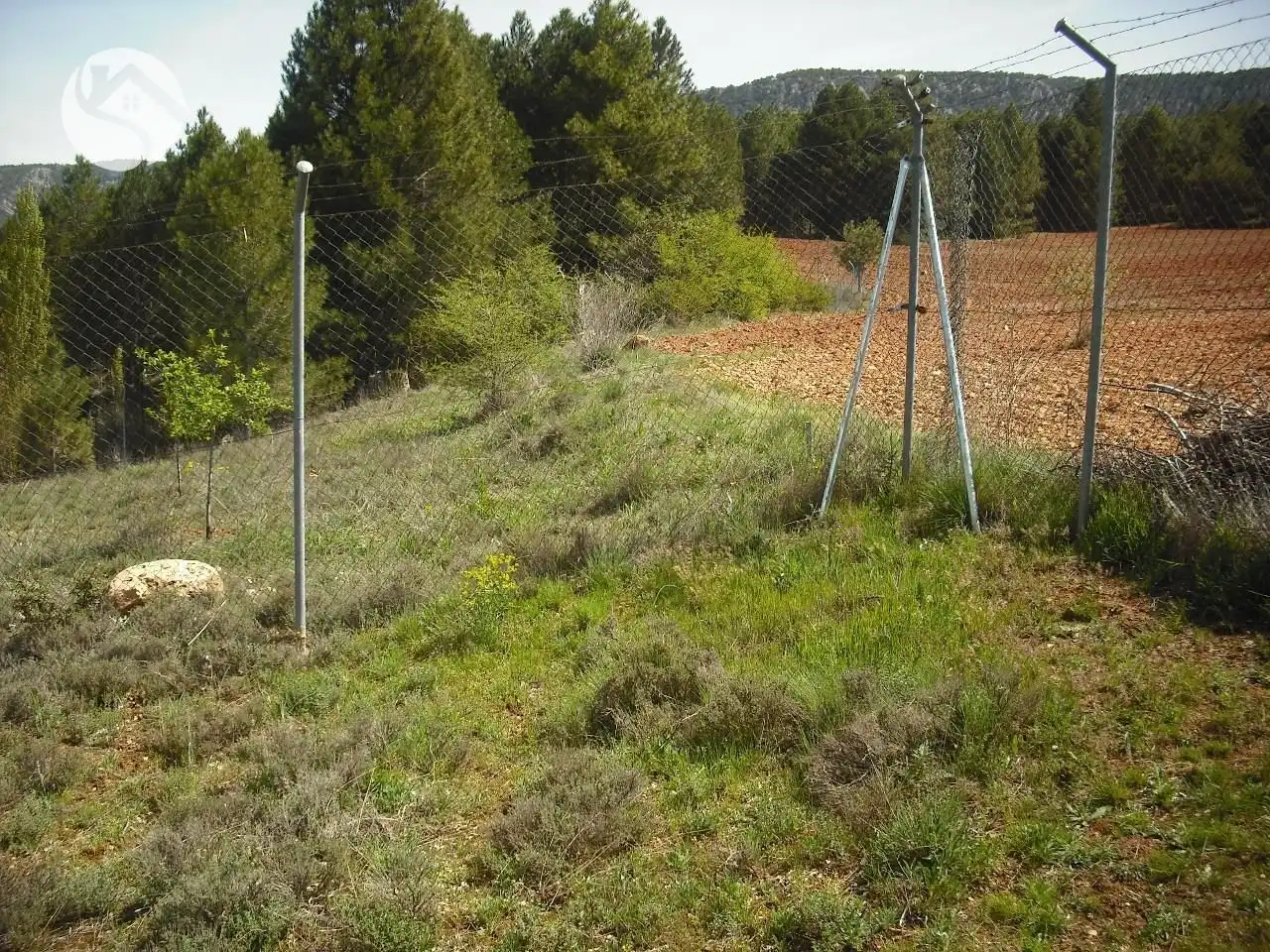 Terreni e lotti in vendita a Cañamares, imagen 3