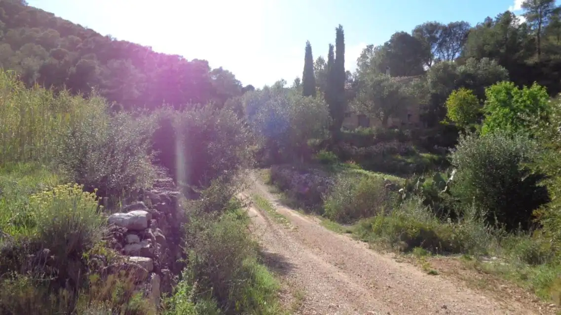 Terreno rustico in vendita a PESOLS, imagen 2