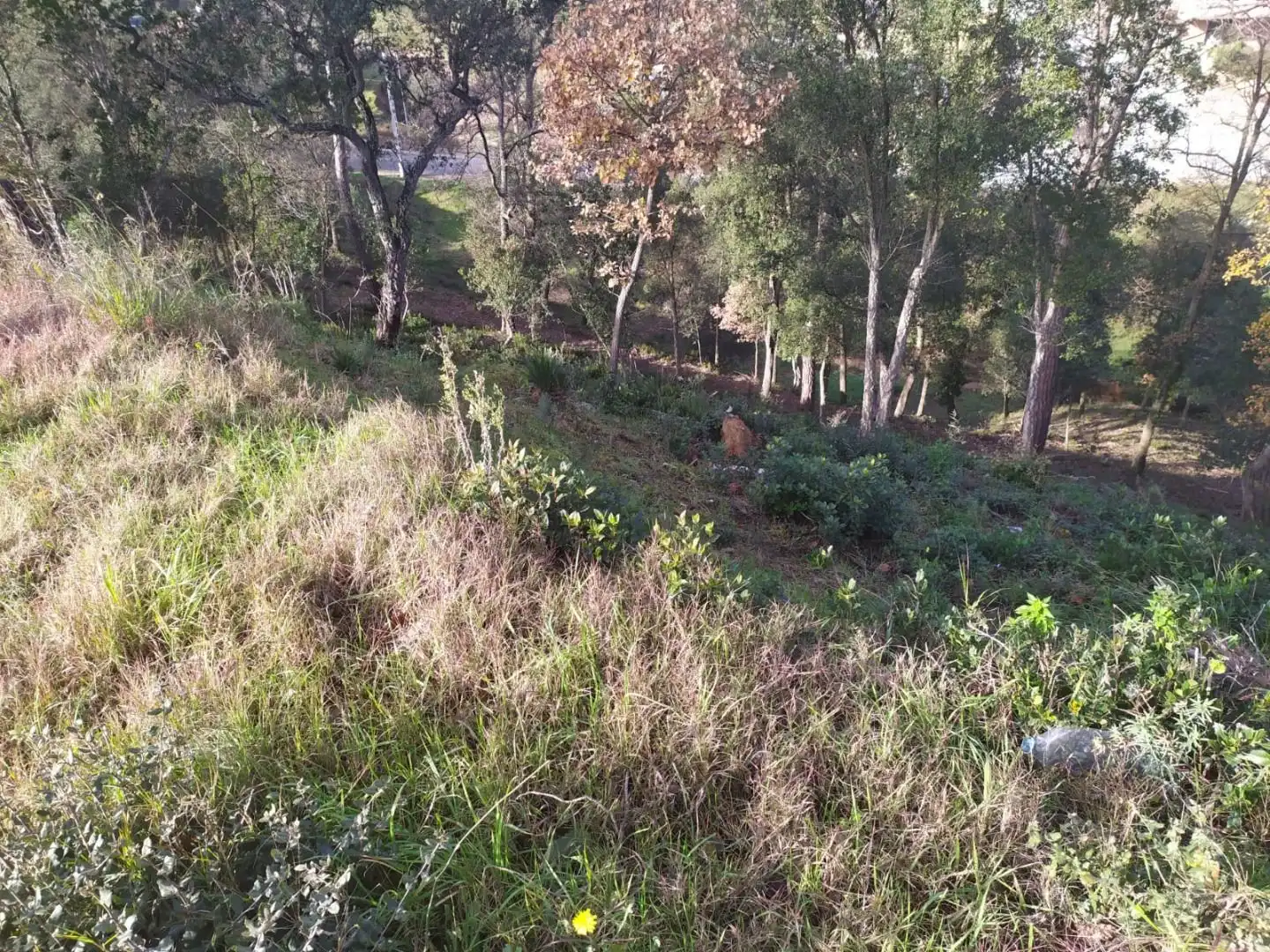 Wohnbaugrundstück zum Verkauf in Niàgara Parc - Àgora Parc, imagen 5