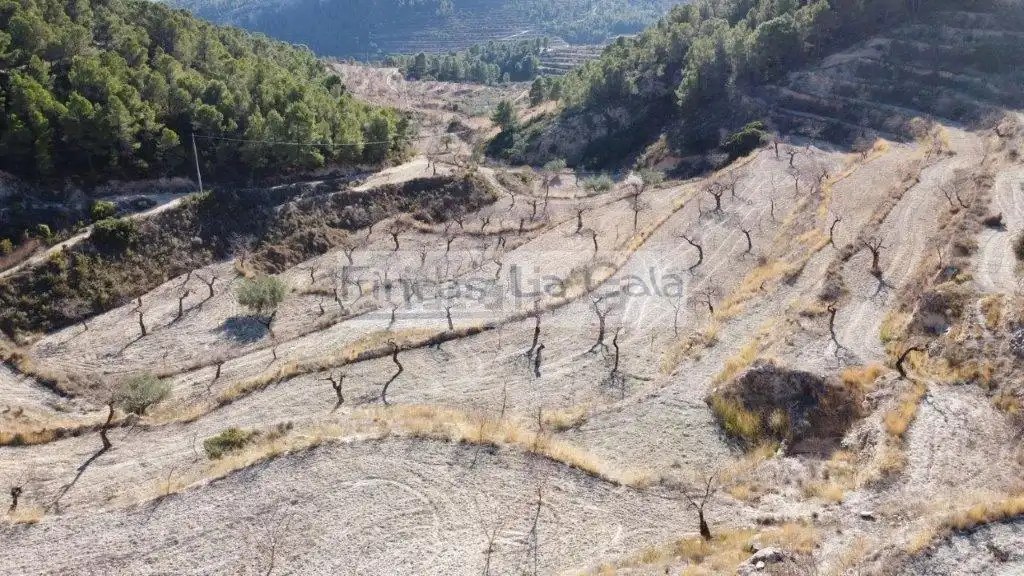 Country house for sale in Relleu, imagen 27