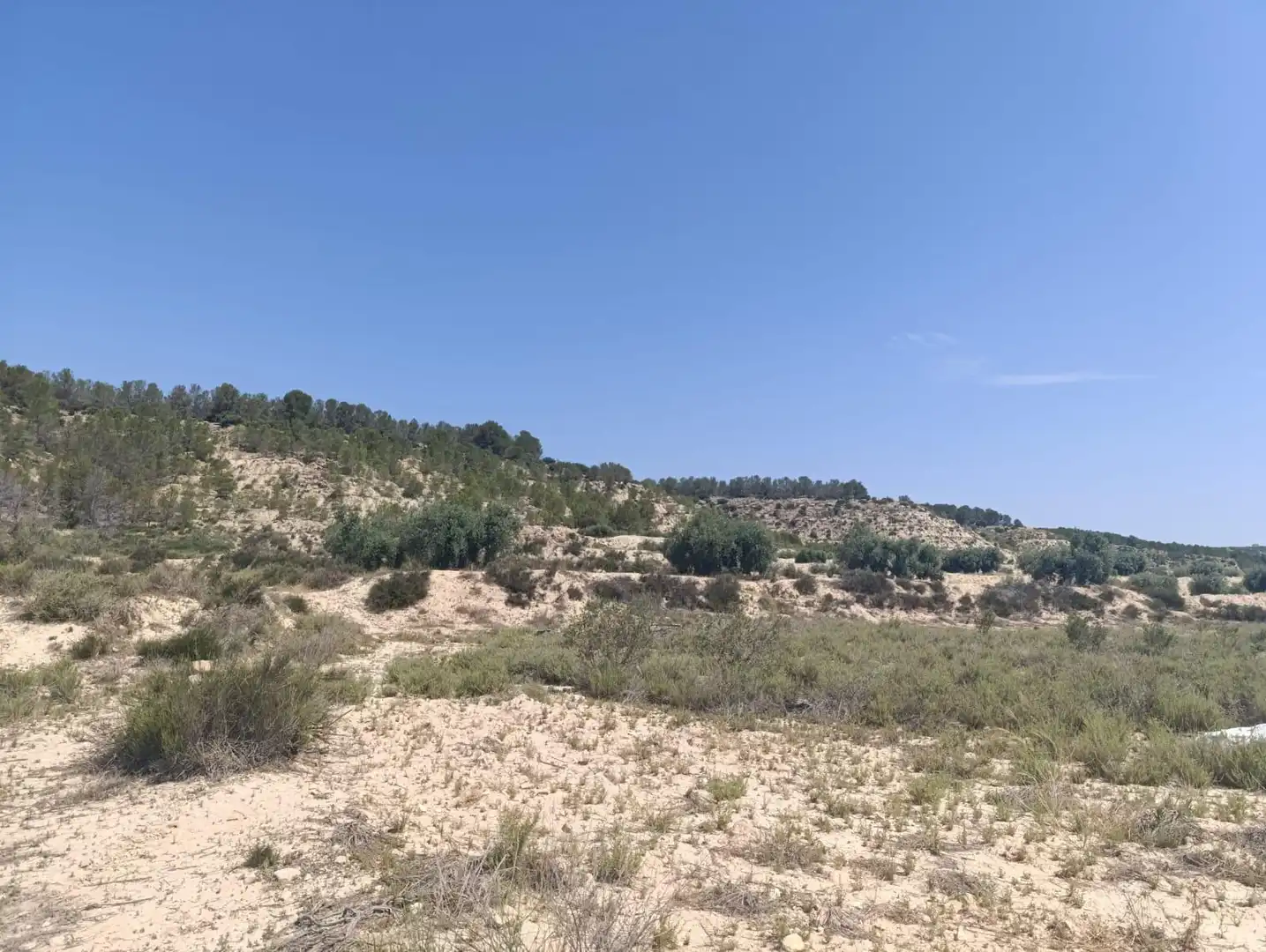 Residencial en venta en Albudeite