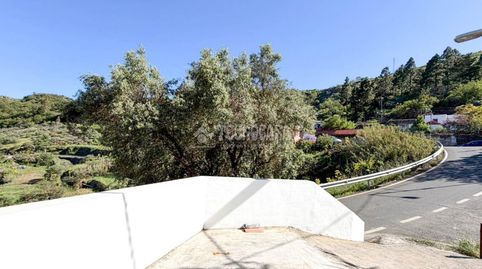 Foto 5 de Finca rústica en venta en Valle de los Nueve - El Ejido - Medianías, Telde