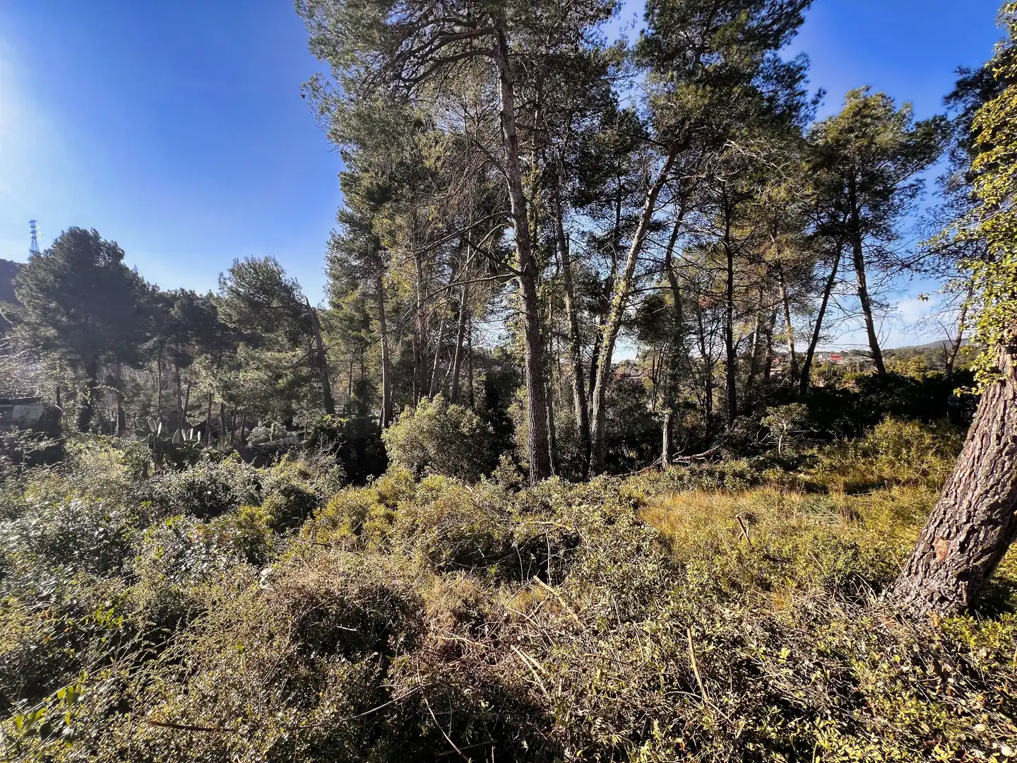 Residential land for sale in Vallirana, imagen 10