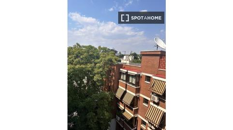 Photo 4 of Flat for share in Colina,  Madrid Capital