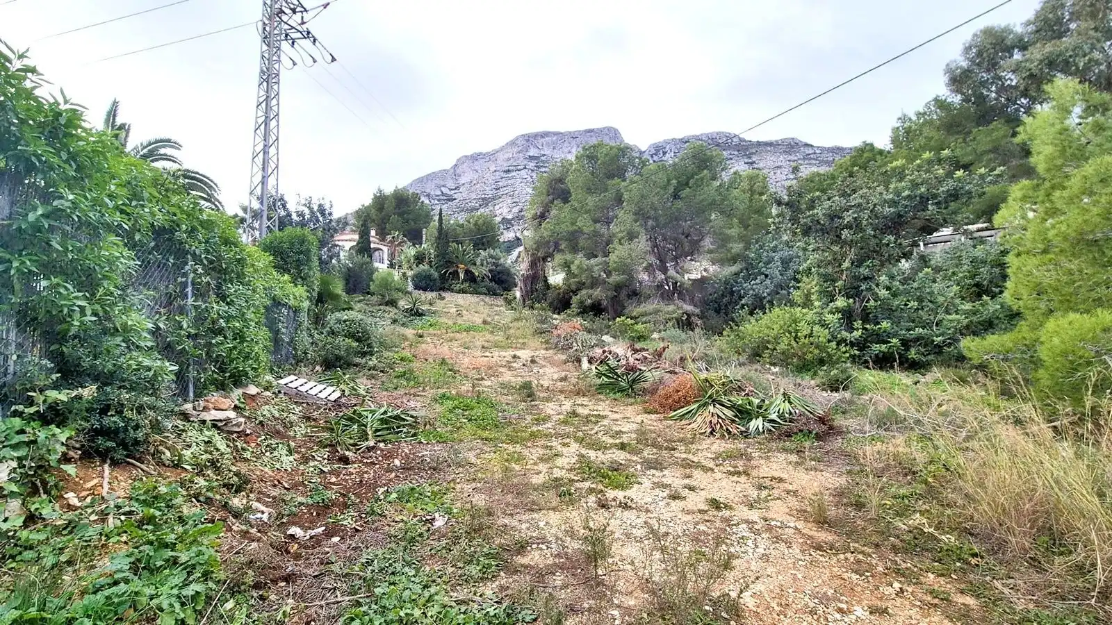 Terreni e lotti in vendita a Avellana, imagen 13