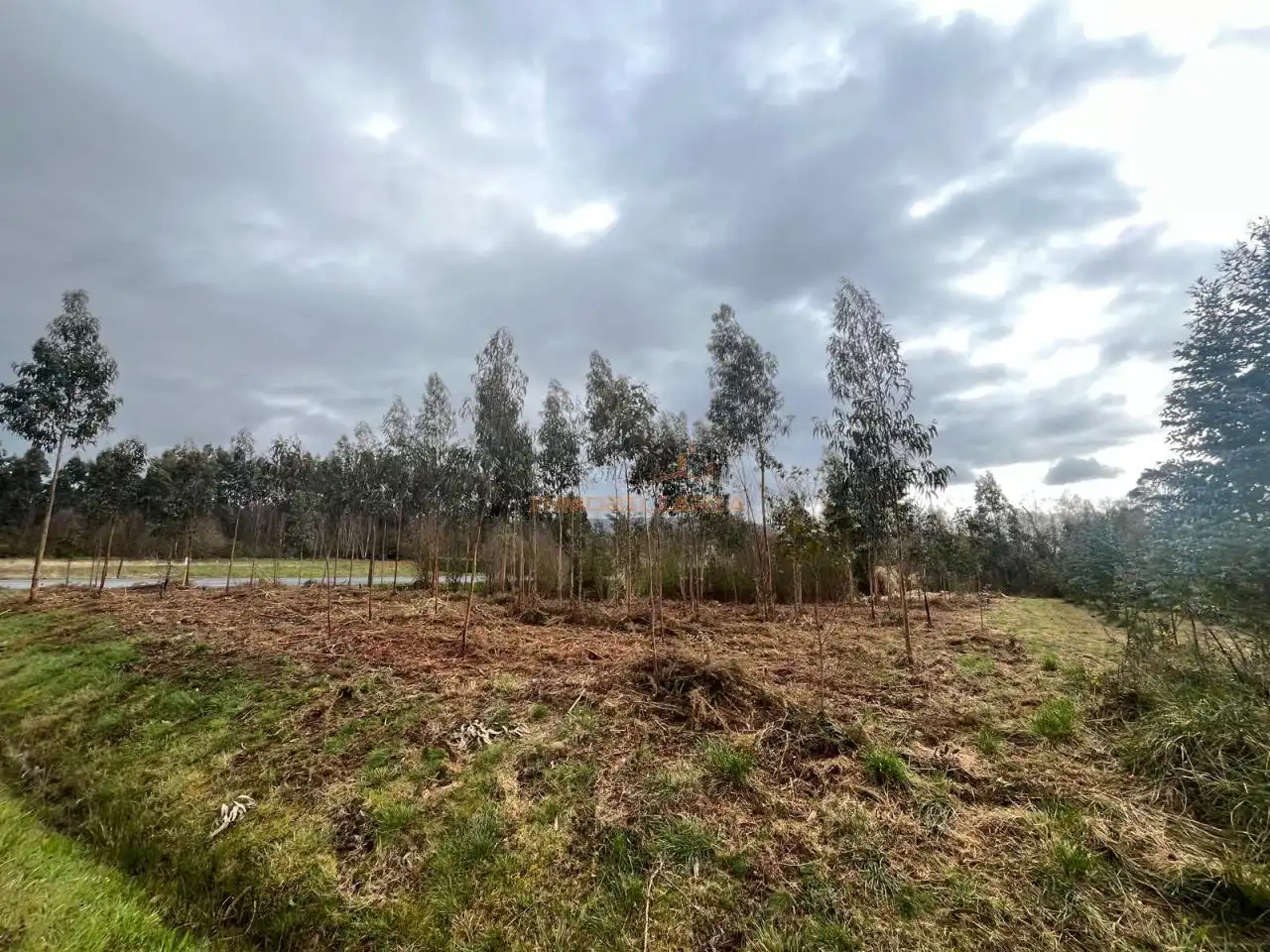 Terrenys i solars en venda a Sedes - Pedroso - Doso