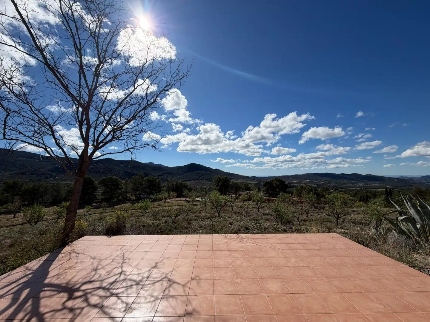 Casa o chalet en venta en Polígono 4 Paraje 139 LENTISCAR, 36, Jijona / Xixona