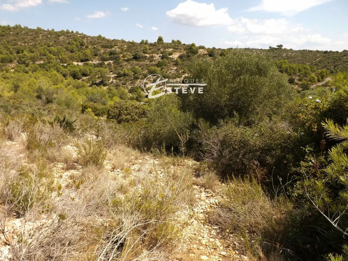 Terreno rustico in vendita a BOI, imagen 9