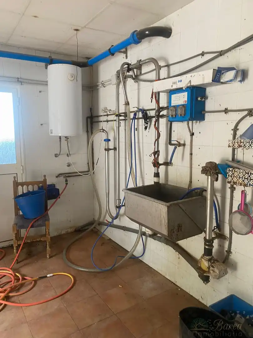 Cocina de Nave industrial en venta en Rute