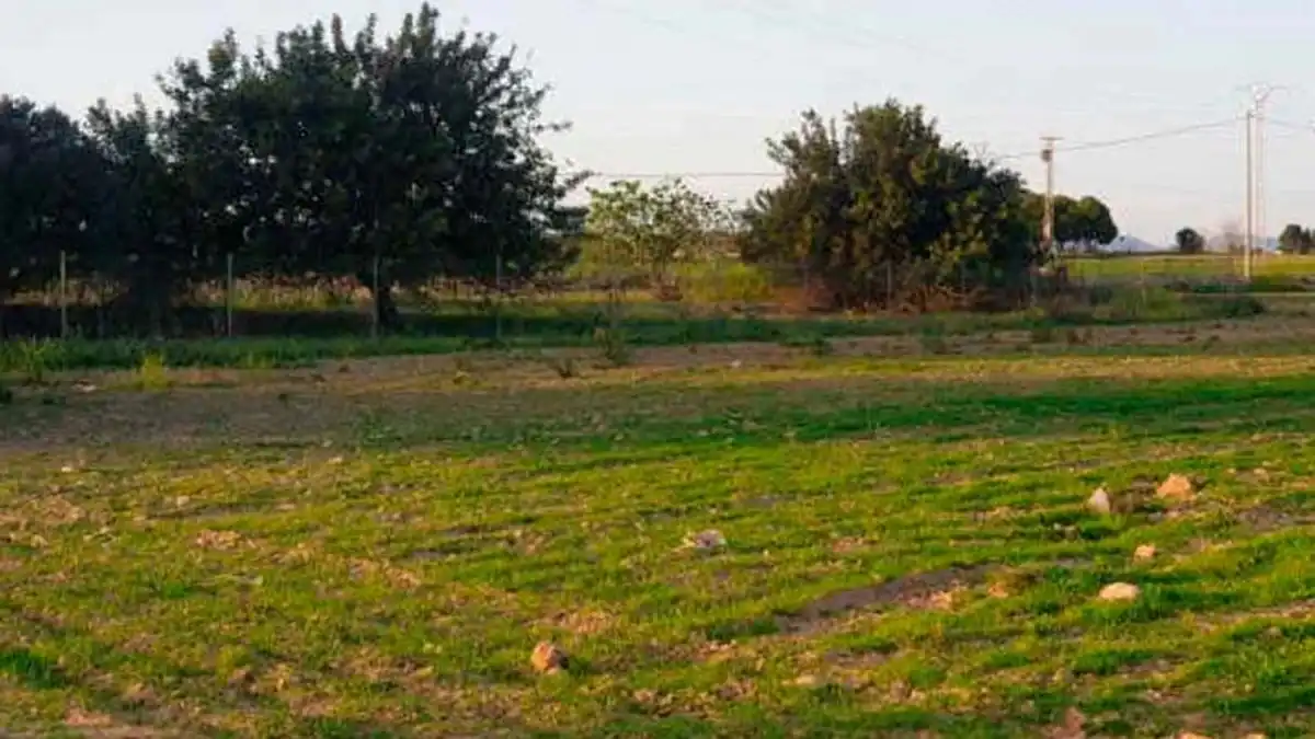 Grundstücke zum Verkauf in San Miguel