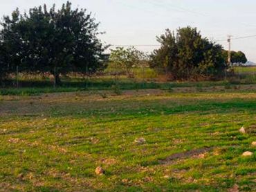 Terreno rustico in vendita a Centro