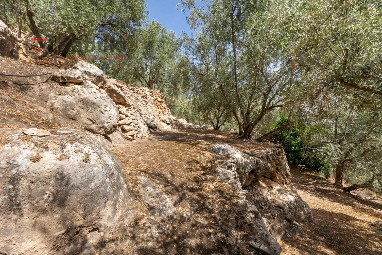Terreno rustico in vendita a Pinar El - Pantano de Beznar, imagen 7