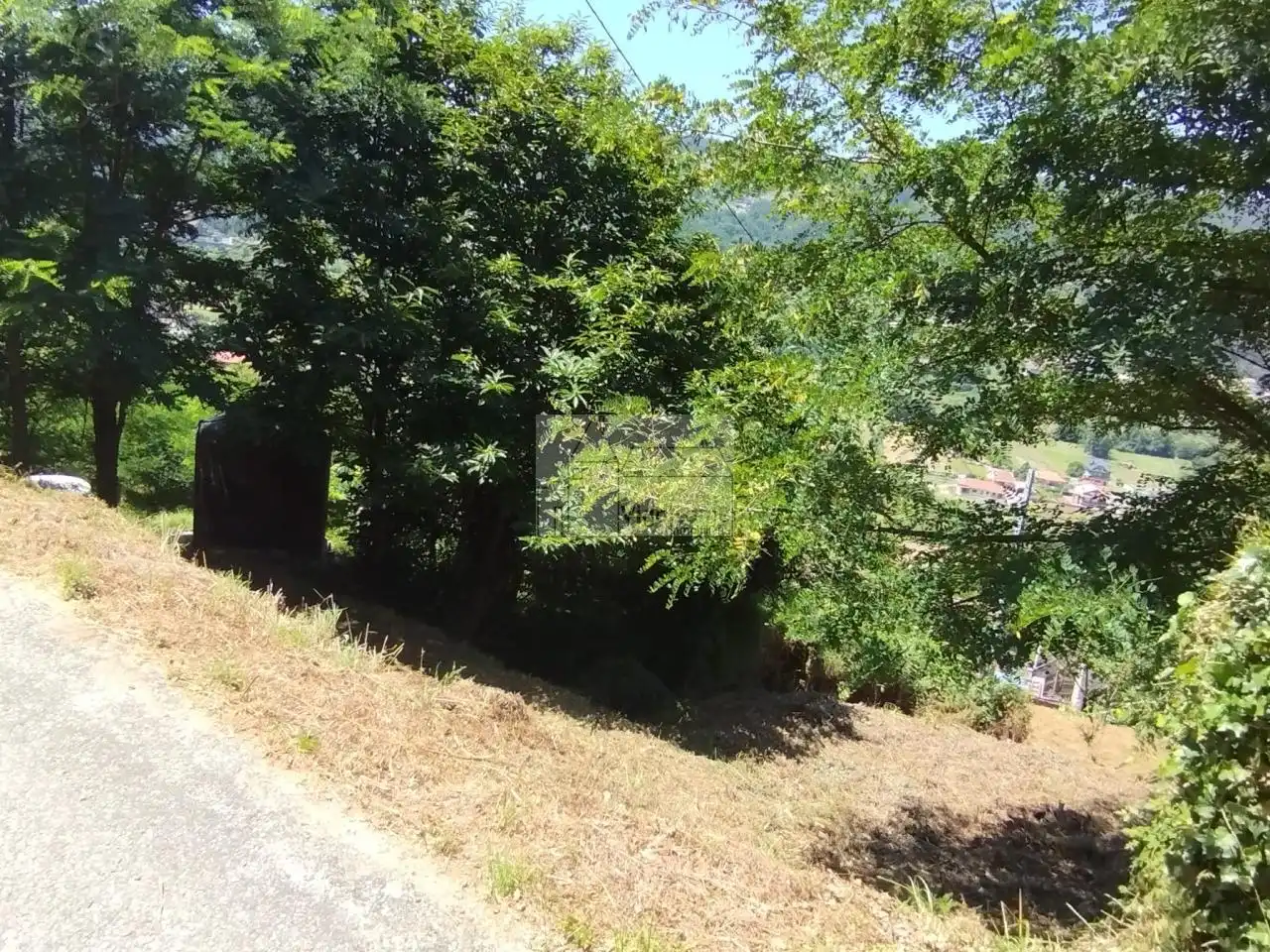 Terreny rústic en venda a LUGAR OS VALOS . SAN ROMAN DE SAXAMONDE, imagen 11