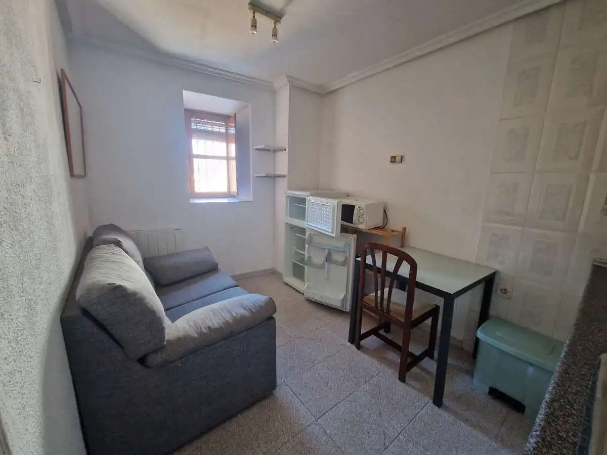 Sala d'estar de Apartament de lloguer en Salamanca amb Calefacció i Moblat