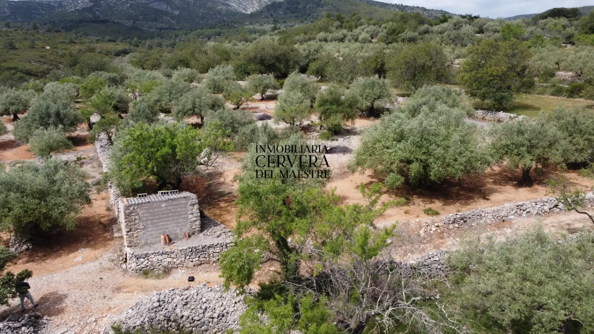 Terreno rustico in vendita a Cervera del Maestre, imagen 21