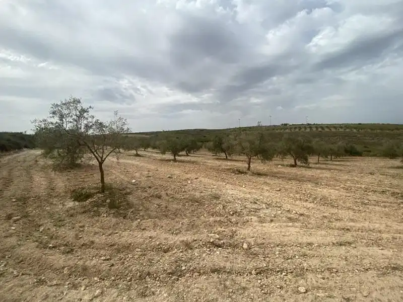 Casa rústica en venda a Padul, imagen 9