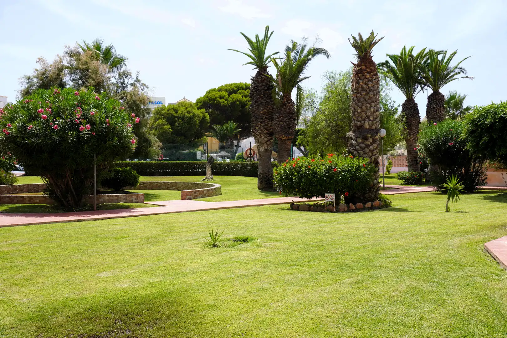 Jardí de Casa adosada en venda en Roquetas de Mar amb Jardí privat, Terrassa i Traster