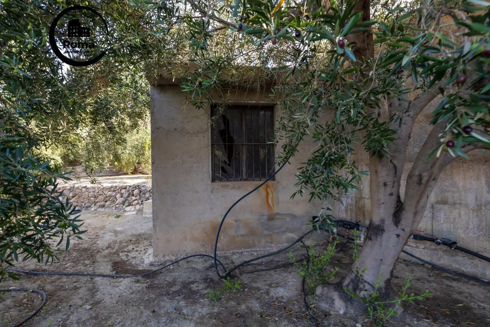 Terreni e lotti in vendita a Lecrín, imagen 18