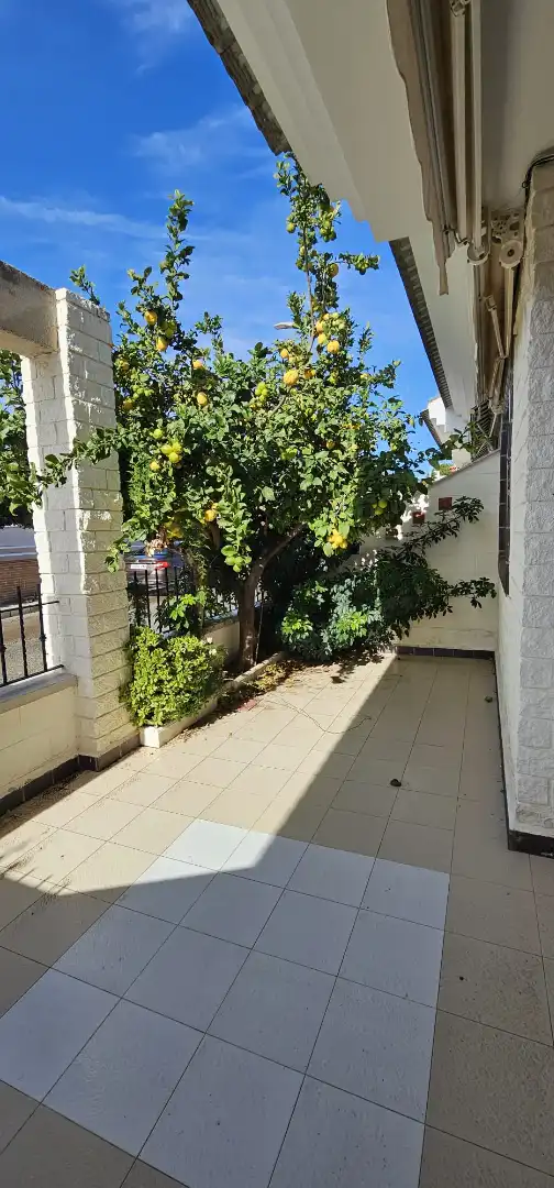 Jardín de Casa adosada en venta en Pilar de la Horadada con Aire acondicionado, Calefacción y Jardín privado