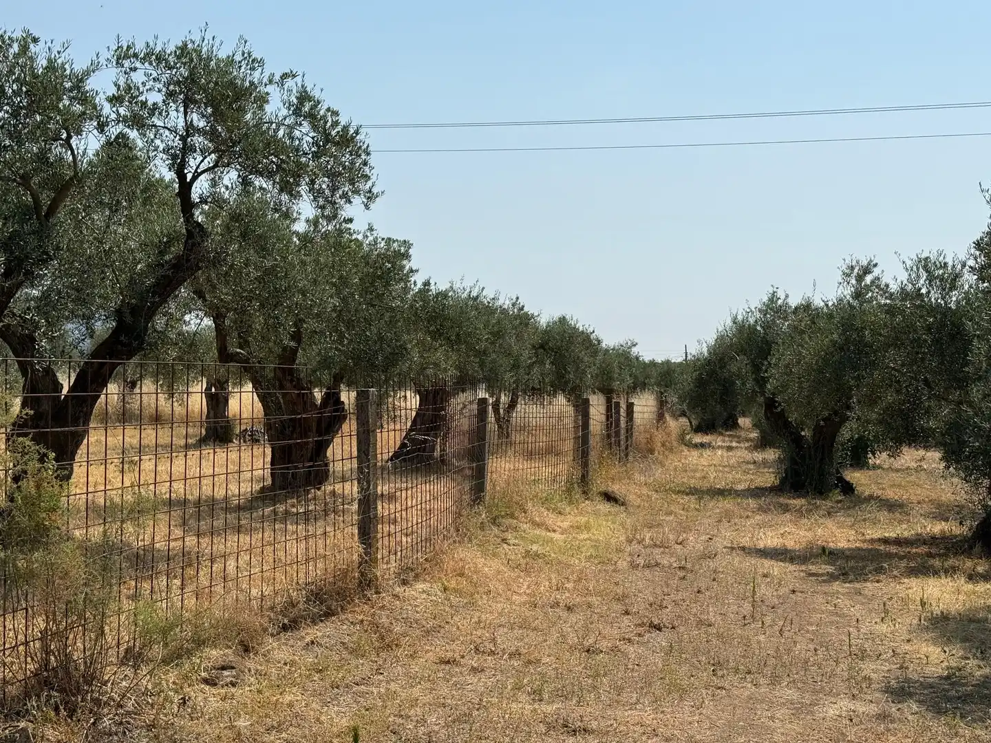 Terreni e lotti in vendita a Candeleda, imagen 7