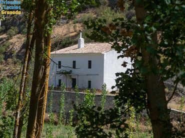 Rural land for sale in Alhama de Granada