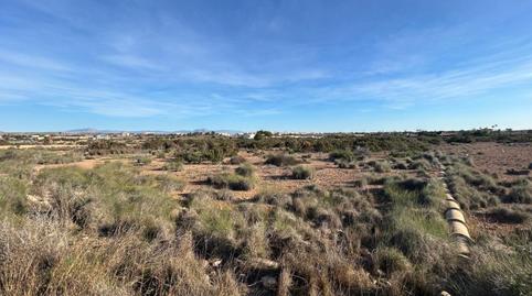 Foto 5 de Finca rústica en venda a El Altet, Elche / Elx