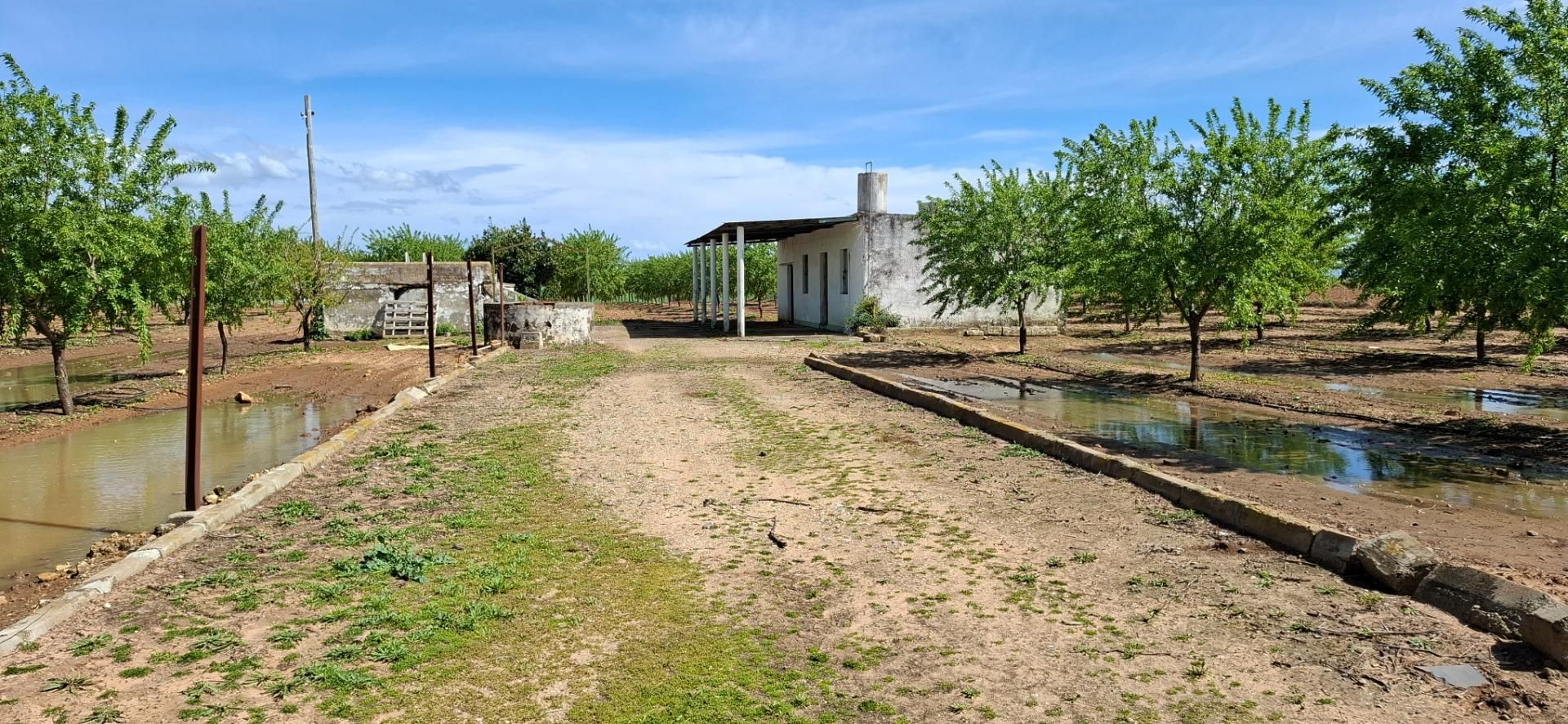 Terreno en venta en Utrera