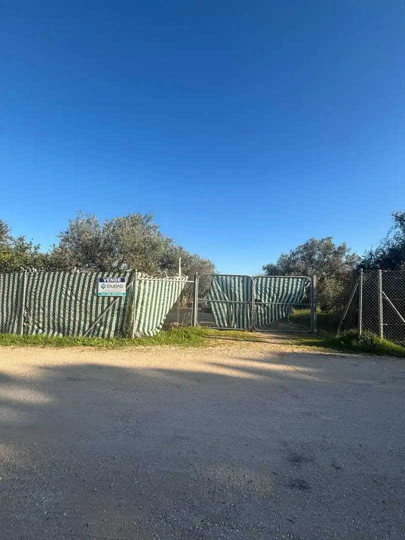 Casa o chalet en venta en Arahal