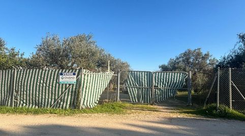Foto 3 de Casa o chalet en venta en Arahal, Sevilla
