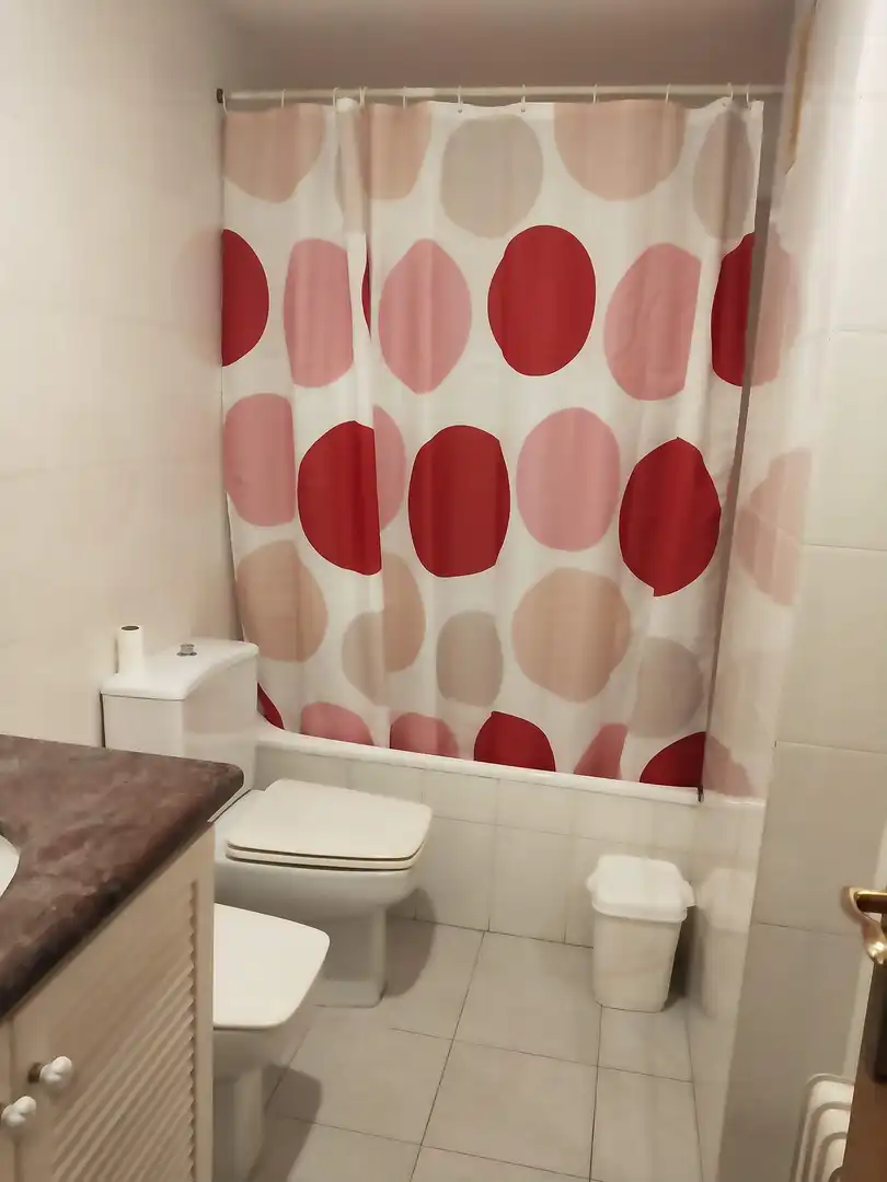 Bathroom of Flat for rent in Girona  with Furnished
