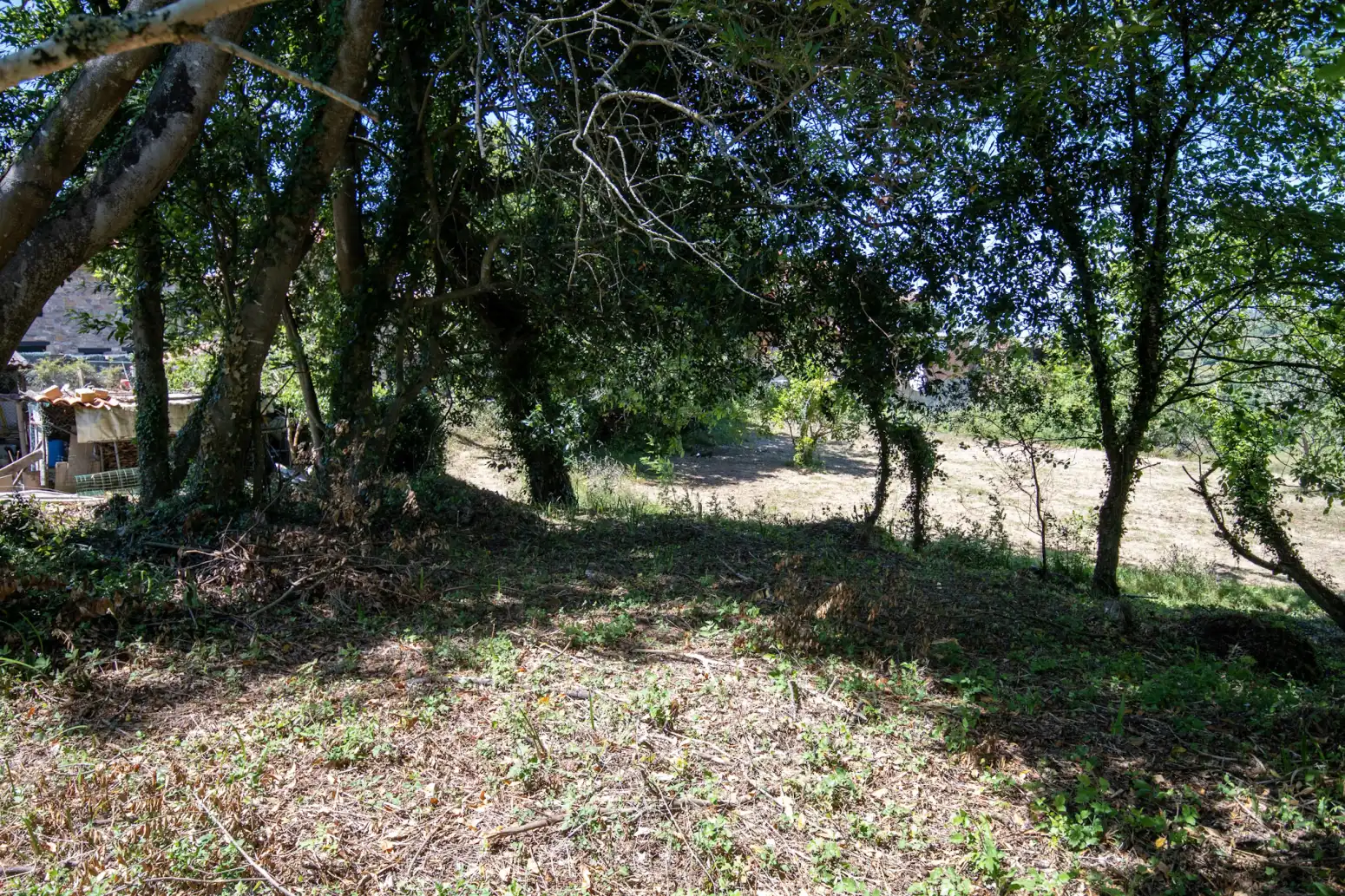 Terreno en venta en Villaviciosa