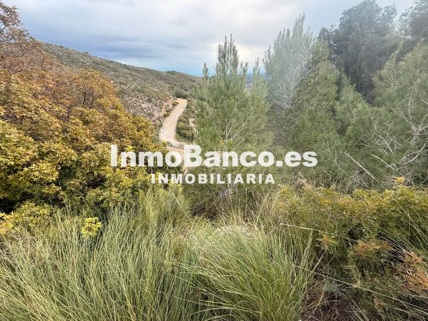 Residential land for sale in Calle Félix Pizcueta 67, imagen 24