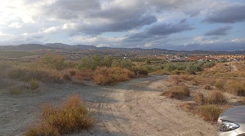 Terreno rustico, en Cañada Capitá, Los Gallardos.