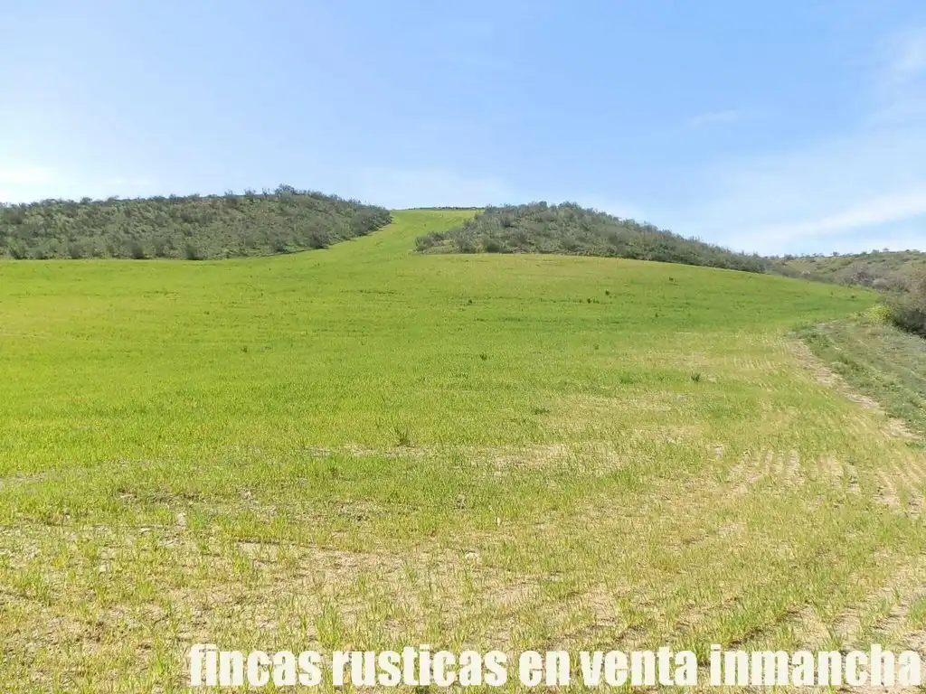 Terreno rustico in vendita a Casco Histórico, imagen 16