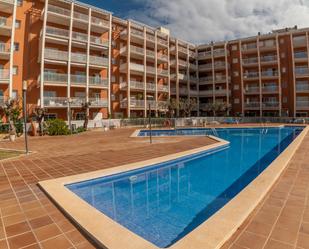 Swimming pool of Flat for sale in Alcúdia  with Air Conditioner, Private garden and Terrace