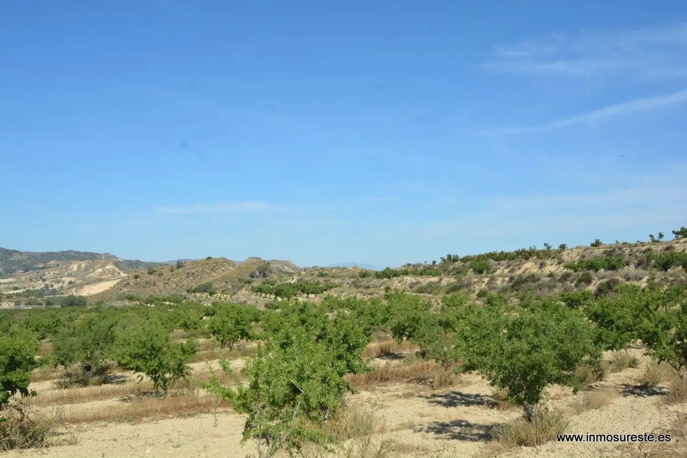 Terreno rustico in vendita a Campo de Murcia, imagen 6