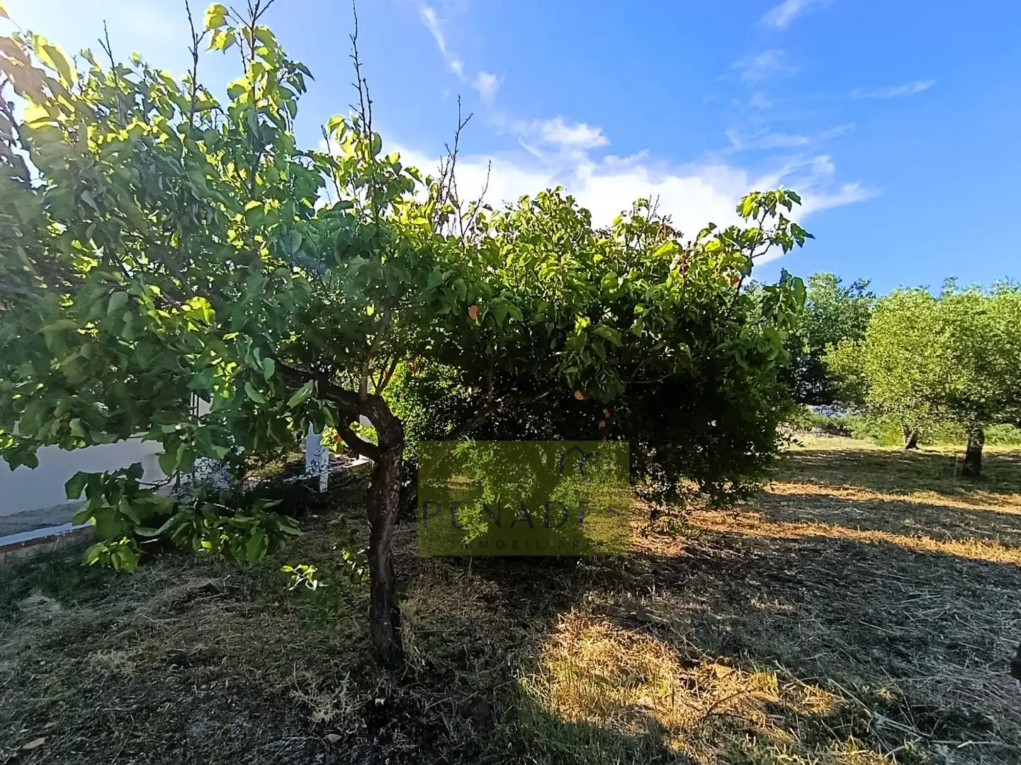 Casa o chalet en venta en Ontinyent con Jardín privado
