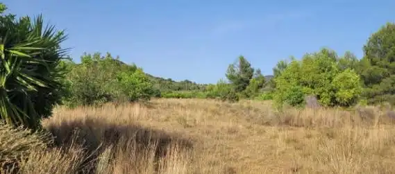 Rural land for sale in Pt Paraje Bolavar, imagen 8