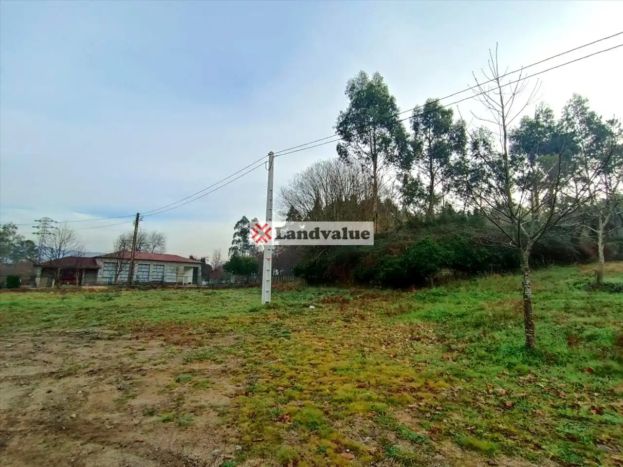 Rural land for sale in Polígono 166, Parcela 65, imagen 5