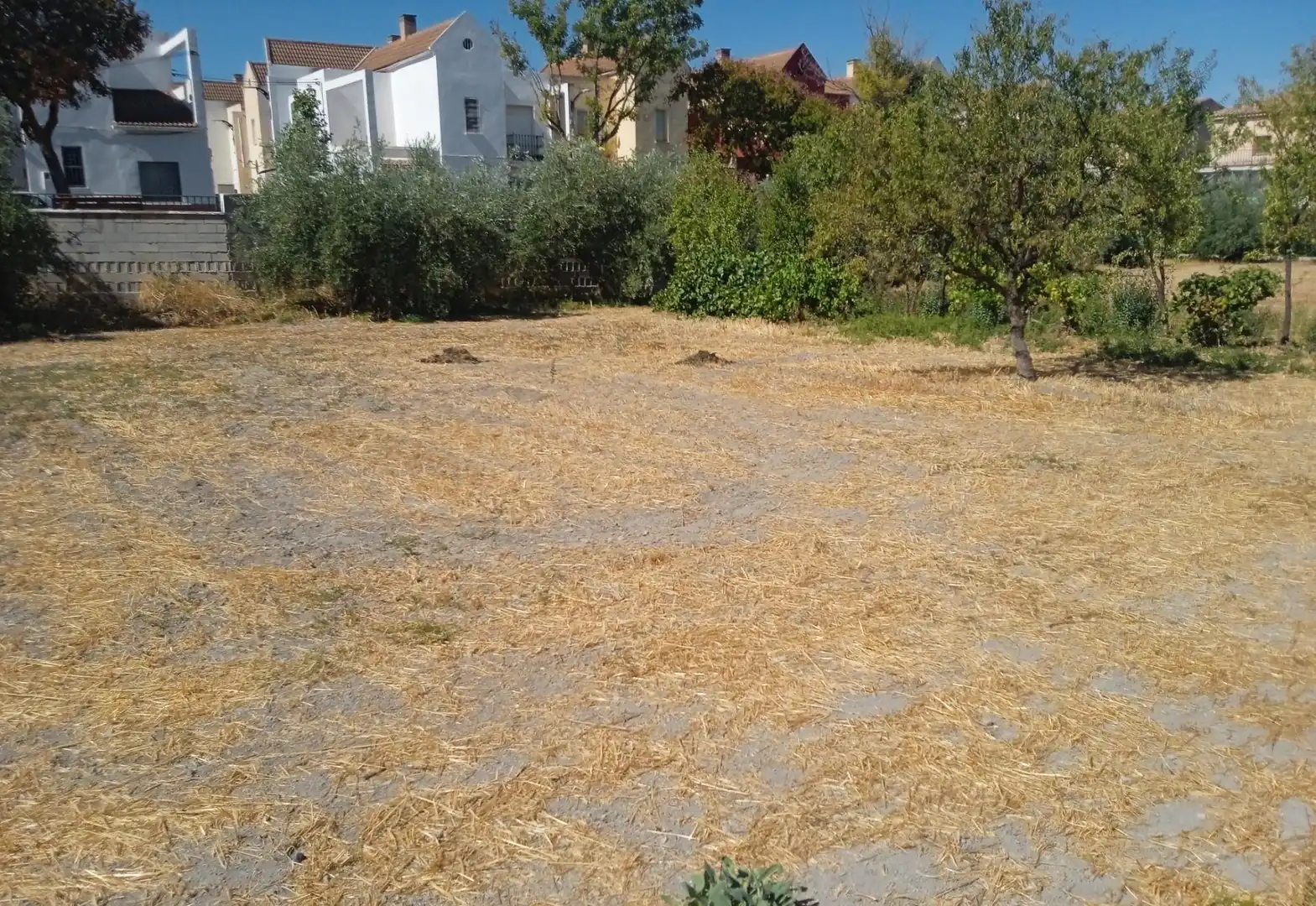 Residencial en venta en Zújar