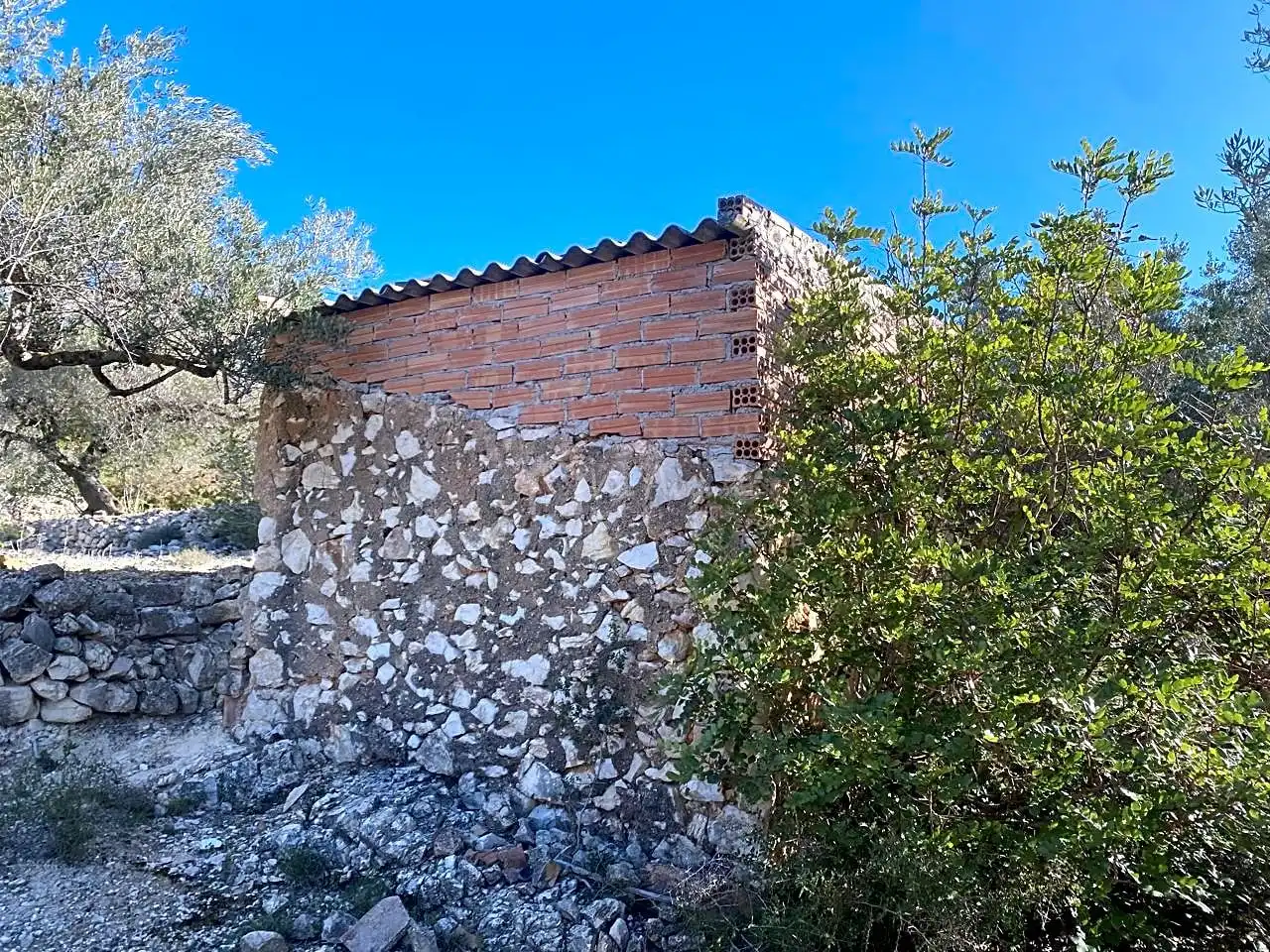 Terreno rustico in vendita a Aubachs, imagen 4